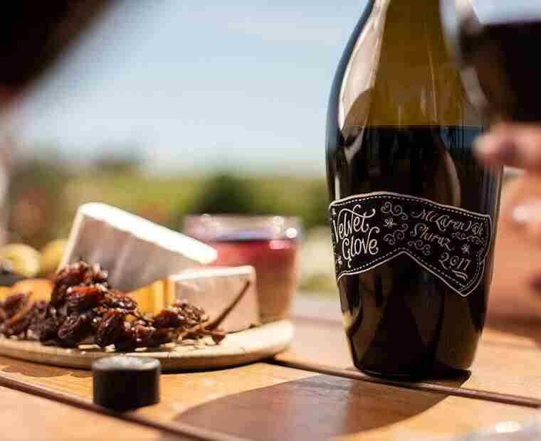 【現地調達】Velvet Glove 2017 Molly Dooker Mollydooker Velvet Glove Shiraz / 750 ml - Marketview Liquor
